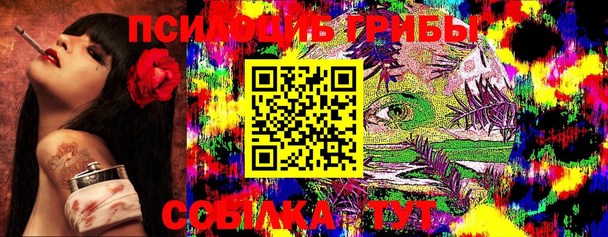 магазин    Псилоцибиновые грибы Psilocybine cubensis  Вход с VPN  Курск 